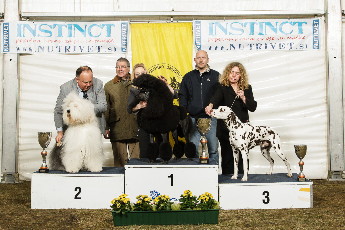 BIS CAC Barje 2013, foto: Yinepu Group